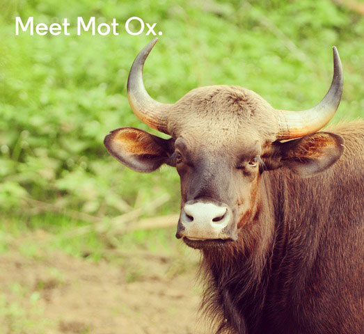Meet Moto X，遇见MOTO遇见爱